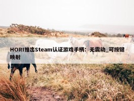 HORI推出Steam认证游戏手柄：无震动_可按键映射