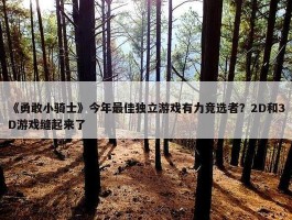 《勇敢小骑士》今年最佳独立游戏有力竞选者？2D和3D游戏缝起来了