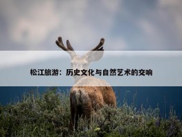 松江旅游：历史文化与自然艺术的交响