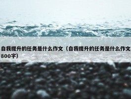 自我提升的任务是什么作文（自我提升的任务是什么作文800字）