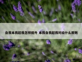 自我本我超我怎样提升 本我自我超我对应什么原则