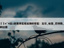 🤨4选1新赛季实现反弹的球星：比尔_哈登_巴特勒_利拉德