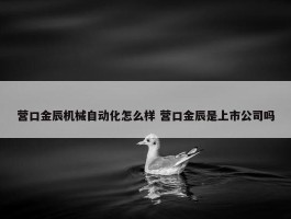 营口金辰机械自动化怎么样 营口金辰是上市公司吗