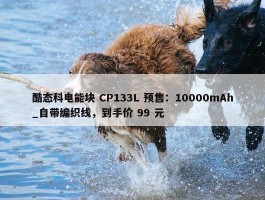 酷态科电能块 CP133L 预售：10000mAh_自带编织线，到手价 99 元