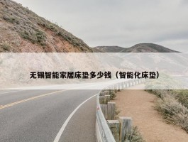 无锡智能家居床垫多少钱（智能化床垫）