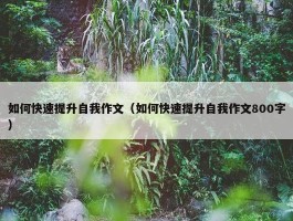 如何快速提升自我作文（如何快速提升自我作文800字）