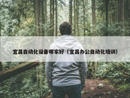 宜昌自动化设备哪家好（宜昌办公自动化培训）