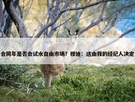 合同年是否会试水自由市场？穆迪：这由我的经纪人决定