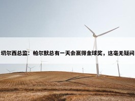 切尔西总监：帕尔默总有一天会赢得金球奖，这毫无疑问