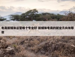 电商新媒体运营哪个专业好 新媒体电商的就业方向有哪些