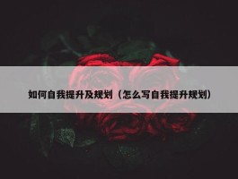 如何自我提升及规划（怎么写自我提升规划）