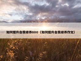 如何提升自我修养800（如何提升自我修养作文）