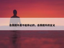 自我提升是不能停止的，自我提升的含义