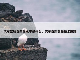 汽车驾驶自动化水平是什么，汽车自动驾驶技术原理