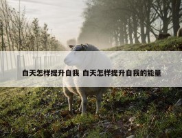 白天怎样提升自我 白天怎样提升自我的能量