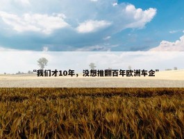 “我们才10年，没想推翻百年欧洲车企”