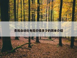 贵阳自动化电阻价格多少的简单介绍