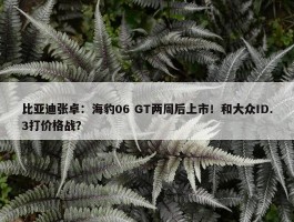 比亚迪张卓：海豹06 GT两周后上市！和大众ID.3打价格战？