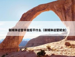 新媒体运营毕业后干什么（新媒体运营就业）