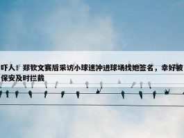 吓人！郑钦文赛后采访小球迷冲进球场找她签名，幸好被保安及时拦截