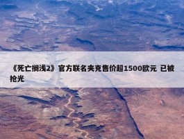 《死亡搁浅2》官方联名夹克售价超1500欧元 已被抢光