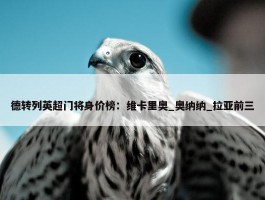 德转列英超门将身价榜：维卡里奥_奥纳纳_拉亚前三