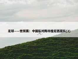 足球——世预赛：中国队对阵印度尼西亚队(2)