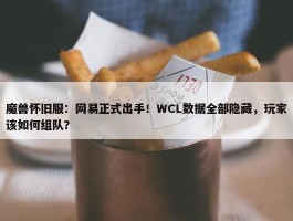 魔兽怀旧服：网易正式出手！WCL数据全部隐藏，玩家该如何组队？