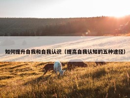 如何提升自我和自我认识（提高自我认知的五种途径）