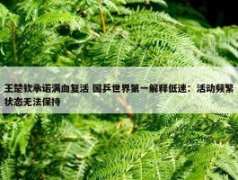 王楚钦承诺满血复活 国乒世界第一解释低迷：活动频繁状态无法保持