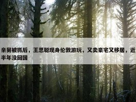 亲舅被抓后，王思聪现身伦敦游玩，又卖豪宅又移居，近半年没回国