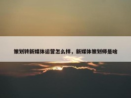 策划转新媒体运营怎么样，新媒体策划师是啥