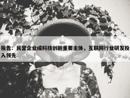 报告：民营企业成科技创新重要主体，互联网行业研发投入领先