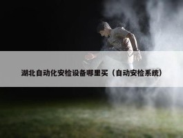 湖北自动化安检设备哪里买（自动安检系统）