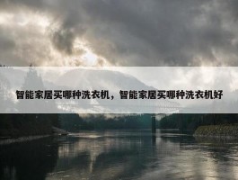 智能家居买哪种洗衣机，智能家居买哪种洗衣机好