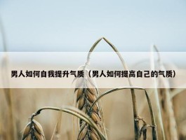 男人如何自我提升气质（男人如何提高自己的气质）