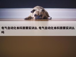 电气自动化本科需要实训么 电气自动化本科需要实训么吗