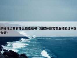 新媒体运营有什么技能证书（新媒体运营专业技能证书含金量）