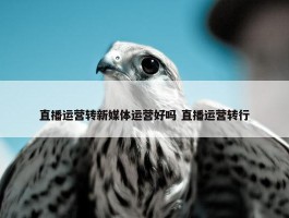 直播运营转新媒体运营好吗 直播运营转行