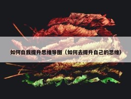 如何自我提升思维导图（如何去提升自己的思维）