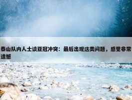 泰山队内人士谈亚冠冲突：最后出现这类问题，感觉非常遗憾