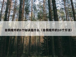 自我提升的8个秘诀是什么（自我提升的10个方法）