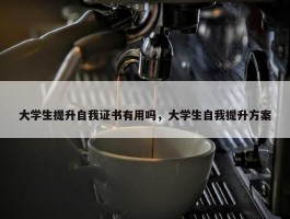 大学生提升自我证书有用吗，大学生自我提升方案