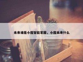 未来谁是小度智能家居，小度未来什么