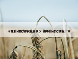 河北自动化轴承重量多少 轴承自动化设备厂家