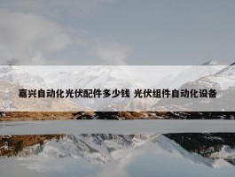 嘉兴自动化光伏配件多少钱 光伏组件自动化设备