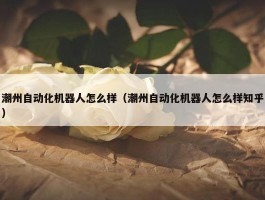 潮州自动化机器人怎么样（潮州自动化机器人怎么样知乎）