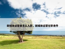 新媒体运营者怎么入职，新媒体运营任职条件