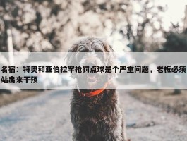 名宿：特奥和亚伯拉罕抢罚点球是个严重问题，老板必须站出来干预