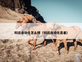 科远自动化怎么样（科远自动化出差）